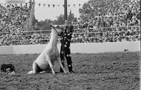 Roger Mawson  Specialty act