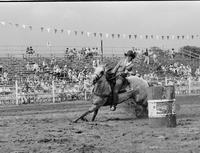 Deena Wheaton [Possibly Dixie] Barrel racing