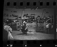 Jack Faulk on Bull #68