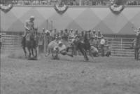 Steve Barthle Steer wrestling