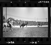 Rusty Riddle on Crippler