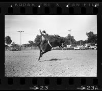 Bob Eckhardt on Bull #3