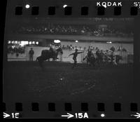 Zane Tibbets Calf roping