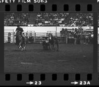 Stan Williamson Steer wrestling