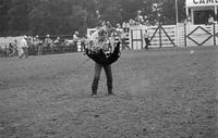 Unidentified calf roper