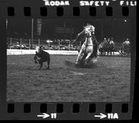 Barry Burk Calf roping