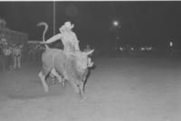 Darrell Kraupie on Bull #N10