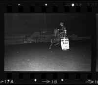 Wendy Potter Barrel racing