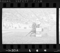 Lynne Mays Barrel racing