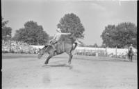 Unidentified Saddle bronc rider