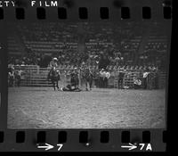 Bob Morice Steer wrestling