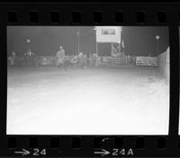 Gary Wininger Steer wrestling