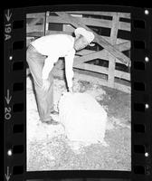 John Farris & shavings