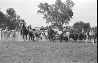 Dennis Bonsall Steer wrestling