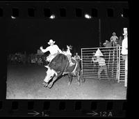 Ray Eugea on Bull #23