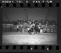Unidentified Calf ropers