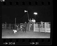 Unknown Bull rider on unknown Bull