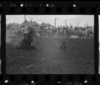 Bob Goodspeed Calf roping