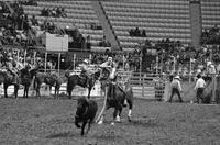 Dennis Chipman Calf roping