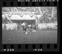 Willard Moody Calf roping