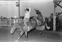 Unidentified Bareback rider on mount #55