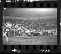 Doug Brown on unknown Saddle bronc