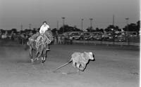 Unidentified Calf roper