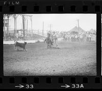 Maury Whyte Calf roping