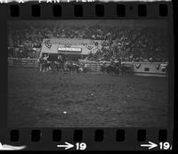 J.D. Yates & Dick Yates Team roping