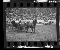Unidentified persons in horse drawn wagon