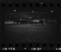 Jerry Peveto Steer wrestling