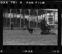 Jack Milhollin Calf roping