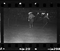 Unknown Rodeo clowns Bull fighting