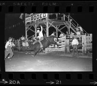 Jerry Cohen on Bull #69