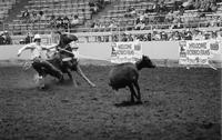 Jerry Dotson Calf roping