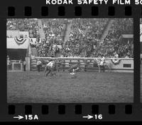 Barry Burk Calf roping