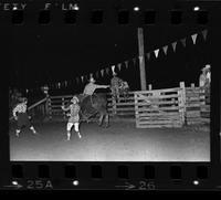 Unidentified Bull rider