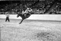 Bronc Rumford on Smokey