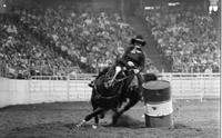 Sue Elliott Barrel racing