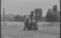 Toy Simon & Frank Wayt Team roping