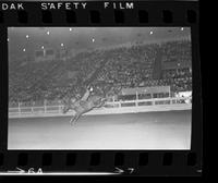 Elbert Van Doran on State Fair