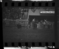 Billy Doenz Calf roping