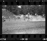 Paul Petska Calf roping