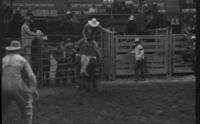 Brady Crumpler on Bull #8