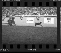 Edd Workman Calf roping