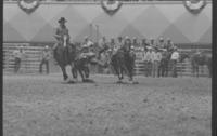 Don Matheson Steer wrestling