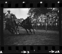 Jack Milhollen Steer wrestling