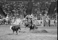 Gale Sneed Calf roping