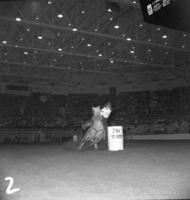 Sue Elliott Barrel racing