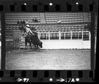Ronnie Bowman on Bull #033
